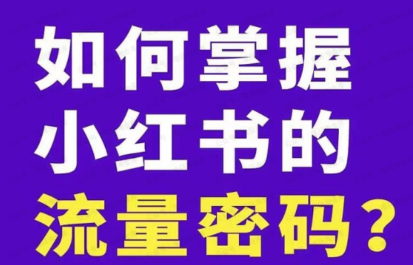 保险人做小红书的流量密码(软件用户专享)-达天社软件指定官方网站
