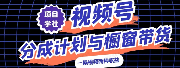 视频号最火赛道,分成计划,橱窗带货,一条视频2个收益(软件用户专享)-达天社软件指定官方网站