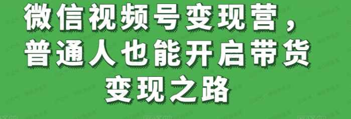 微信视频号变现营,普通人也能开启带货变现之路(软件用户专享)-达天社软件指定官方网站