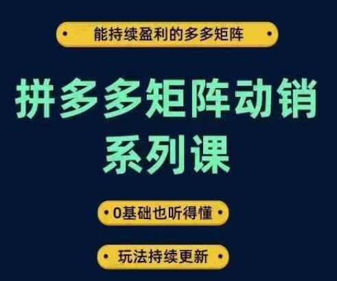 拼多多矩阵动销系列课(软件用户专享)-达天社软件指定官方网站
