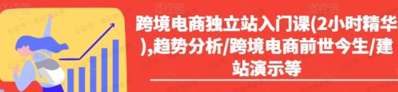 跨境电商独立站入门课(软件用户专享)-达天社软件指定官方网站