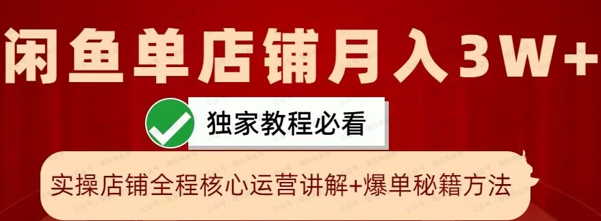 咸鱼实物单店铺月入3W+(软件用户专享)-达天社软件指定官方网站
