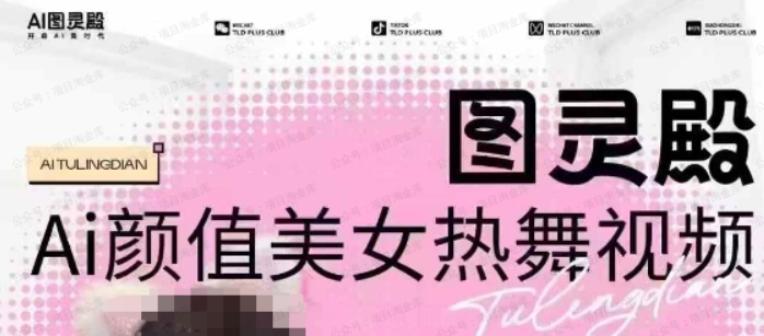 图灵殿988AI颜值美女项目(软件用户专享)-达天社软件指定官方网站