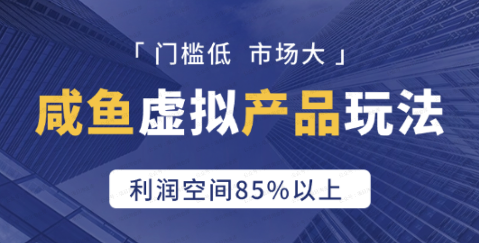 咸鱼虚拟产品,门槛低,市场大,利润空间85%以上(软件用户专享)-达天社软件指定官方网站