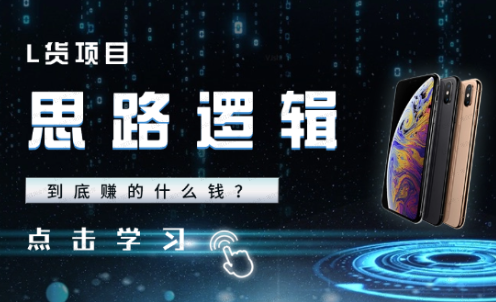 L货,到底赚的什么钱,思路逻辑以及后续的一些思考(软件用户专享)-达天社软件指定官方网站