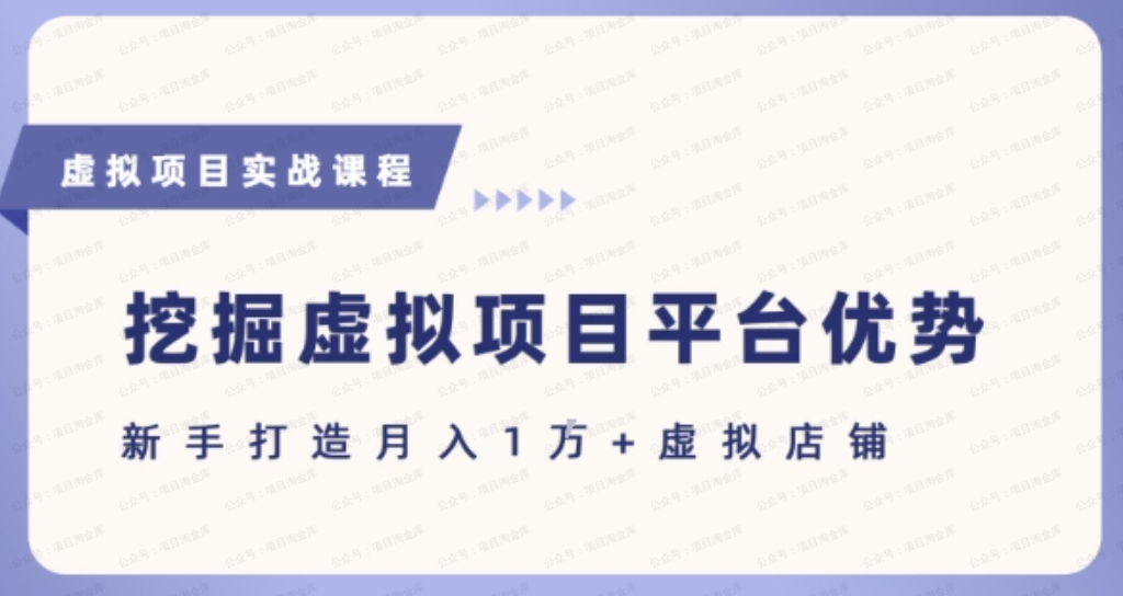 抓住虚拟项目各平台优势，新手轻松月入1W+(给出具体建议)-杨北资源网
