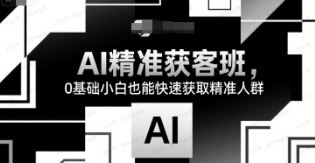 AI精准获客班,0基础小白也能快速获取精准人群-杨北资源网