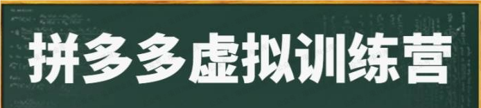 拼多多虚拟电商项目(软件用户专享)-达天社软件指定官方网站