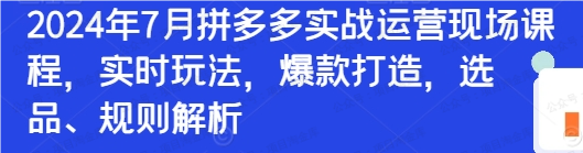 2024年7月拼多多实战运营现场课程,实时玩法,爆款打造(免费分享)-达天社软件指定官方网站