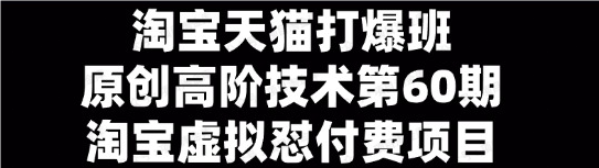 淘宝虚拟怼付费项目(软件用户专享)-达天社软件指定官方网站
