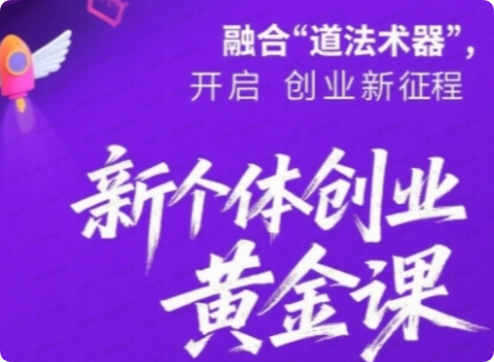 新个体创业黄金课:道法术器四维抢占2025红利-杨北资源网