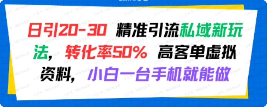日引 20-30 精准引流私域新玩法,转化率50% 高客单虚拟资料,小白一台手机就能做-杨北资源网